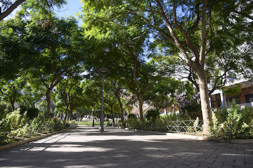 PODEMOS ALMERÍA EXIGE QUE SE ATIENDAN LAS DEMANDAS DE LOS TRABAJADORES DE PARQUES Y&nbsp;JARDINES